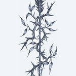 Design del tatuaggio semi-permanente Ramo Spinoso di INKON – illustrazione verticale, spinoso, vite, ramo, foglie, 4 x 7 in (10x17cm), disponibile su inkon.co