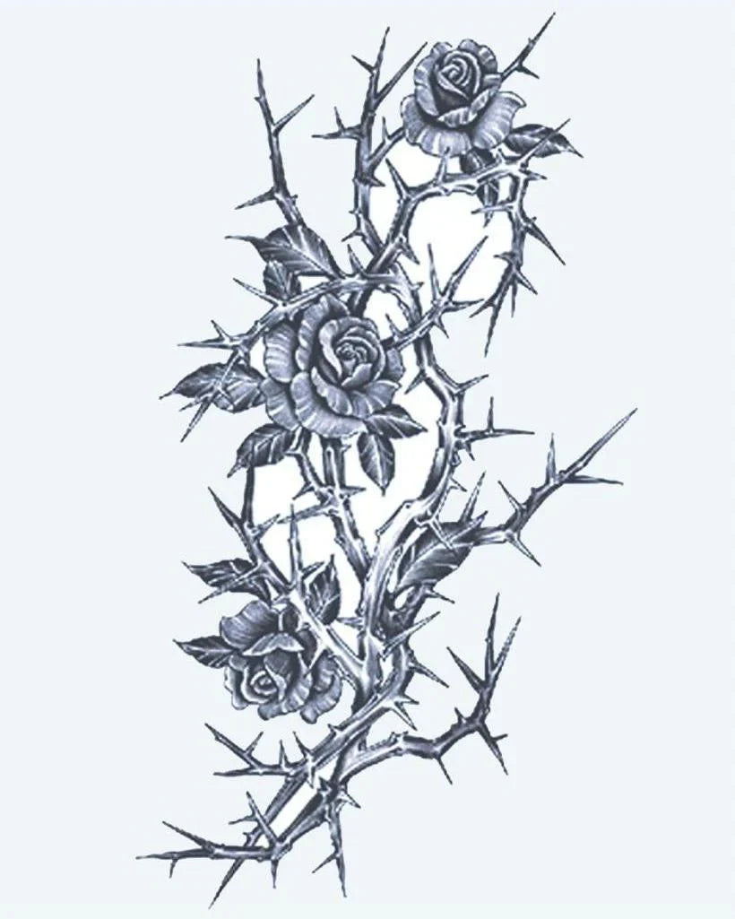 Design del tatuaggio semi-permanente Rose e Spine di INKON – illustrazione tre, in fiore, rose, spinoso, ramo, 4 x 7 in (10x17cm), disponibile su inkon.co