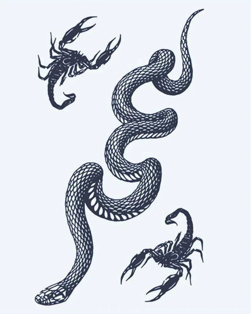 Design del tatuaggio semi-permanente Serpente e Scorpioni di INKON – illustrazione attorcigliato, serpente, scorpioni, illustrativo, versatile, 4 x 7 in (10x17cm), disponibile su inkon.co
