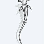 Design del tatuaggio semi-permanente Hammerhead Shark di INKON – illustrazione dotwork, martello, squalo, nuota, basso, 3 x 4 in (6x11cm), disponibile su inkon.co