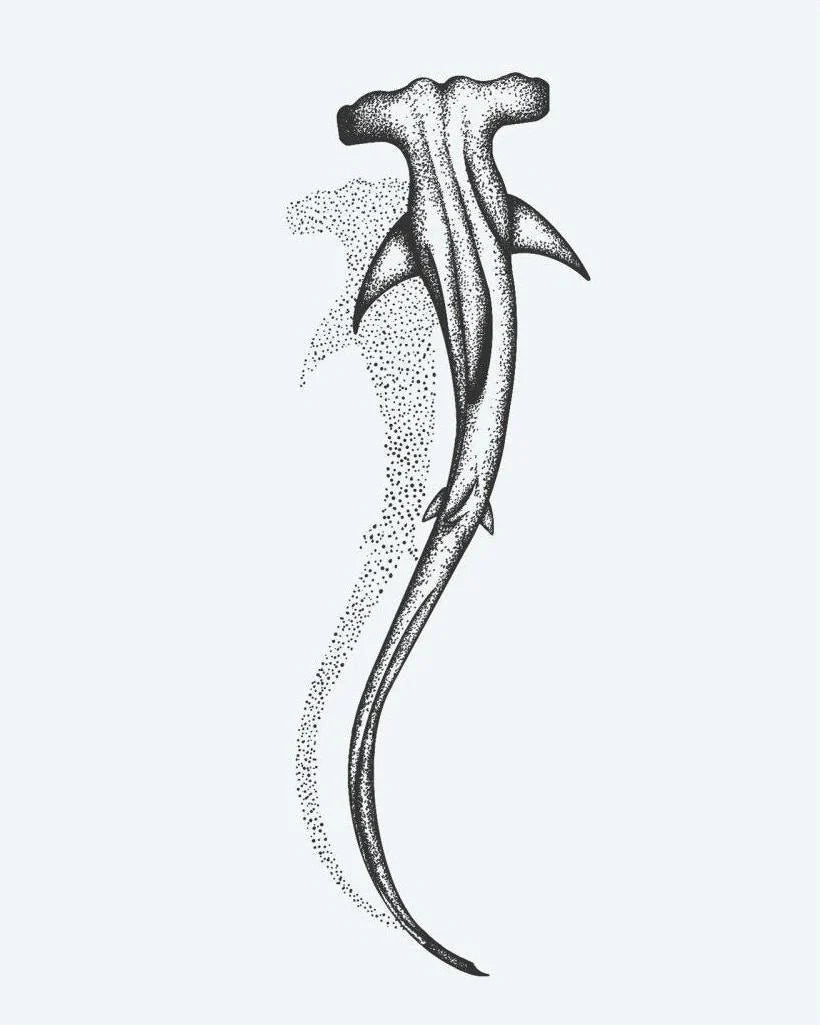 Design del tatuaggio semi-permanente Hammerhead Shark di INKON – illustrazione dotwork, martello, squalo, nuota, basso, 3 x 4 in (6x11cm), disponibile su inkon.co