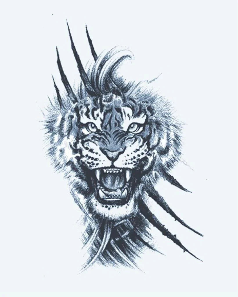 Design del tatuaggio semi-permanente Tigre Ruggente e Artigli di INKON – illustrazione ruggente, tigre, irrompe, attraverso, artiglio, 4 x 7 in (10x17cm), disponibile su inkon.co