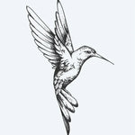Design del tatuaggio semi-permanente Hummingbird di INKON – illustrazione splendidamente, colibrì, volo, finemente, incise, 3 x 4 in (6x11cm), disponibile su inkon.co