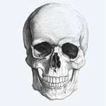Design del tatuaggio semi-permanente Teschio Realistico di INKON – illustrazione anatomicamente, umano, teschio, matita, schizzo, 4 x 7 in (10x17cm), disponibile su inkon.co